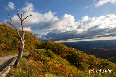 Hazel Mountain Overlook