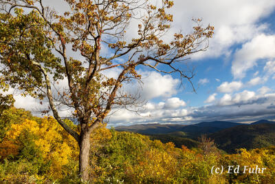 Buck Hollow