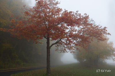 Swift Run Overlook Fall
