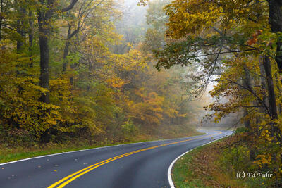 Fall Drive on Skyline