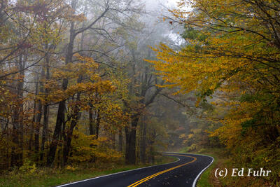 A Fall Drive