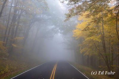 Fall Splendor On Skyline Drive