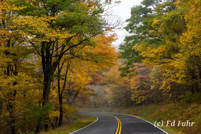One of America's Best Drives