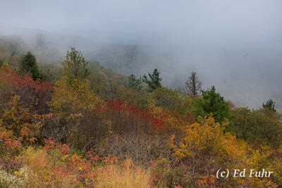 Stony Man Fall
