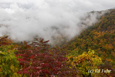 Rattlesnake Overlook
