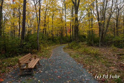 Limberlost Respite