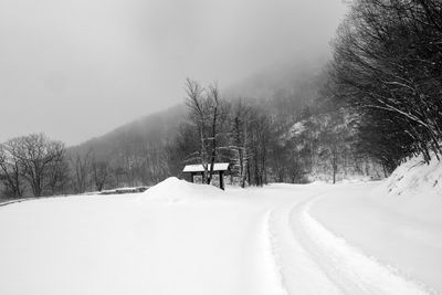 Snowy Entrance