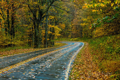 Autumn Curve on Skyline Drive