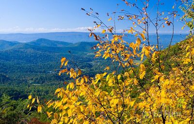 Shenandoah Fall Overlook