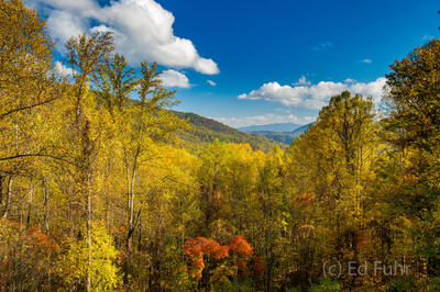 Mahoney Overlook on an Autumn Afternoon