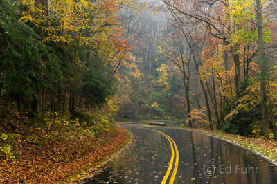 Autumn Reflections