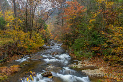 Autumn Cascades