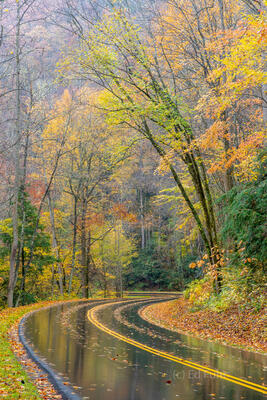 A Rainy Fall Drive