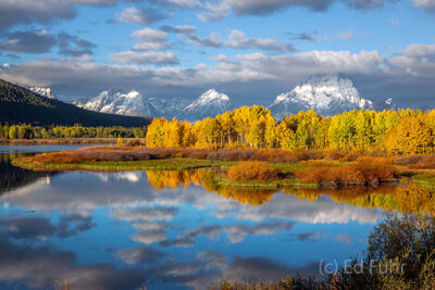 Winter's First Dusting, Oxbow Bend, 2013