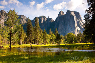 Cathedral Rock and Meadow