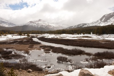 Yosemite High Country