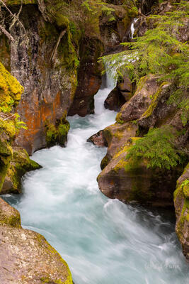 Avalanche Gorge, 2024