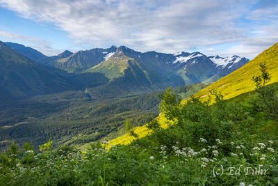 Alyeska