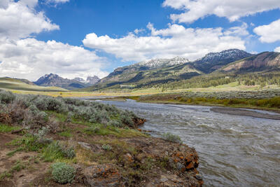 Lamar River Crossing