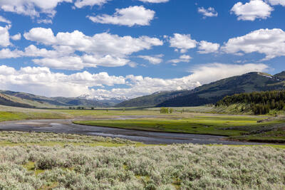 Lamar Valley, 2026