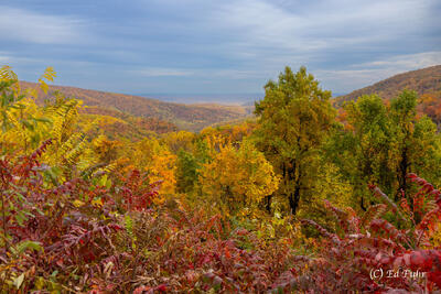 Near Afton Mountain