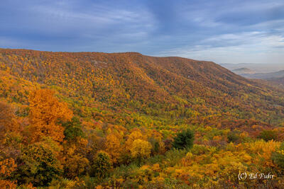 Hightop Fall from Bacon Hollow