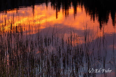 Nugget Pond Reflectin