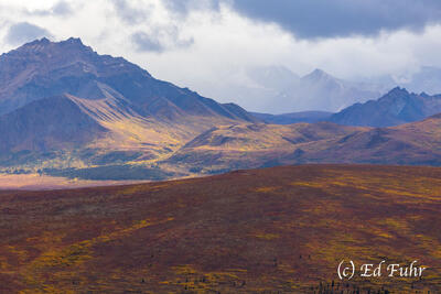 Aerial Of Denali National Park