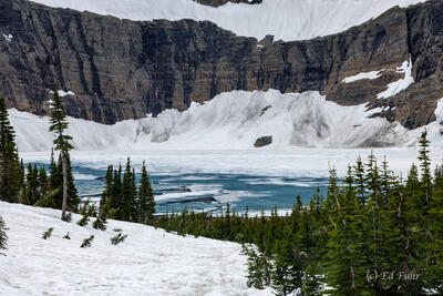 Icy Times on Iceberg Lake