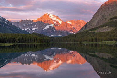 Gould's Serenity