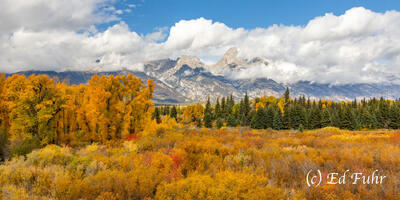 Blacktail Ponds Overlook
