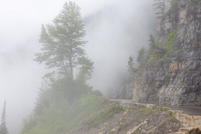 Into the Fog on the Going to Sun Road