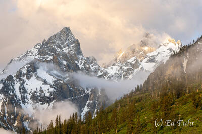 Tetons/Yellowstone June 2025