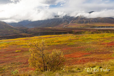 Autumn Valley