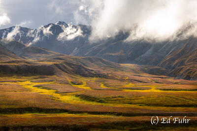 Changing Seasons