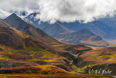 Gorge Enchantment