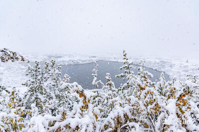 Duck Shaped Pond in Snow