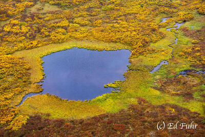 Autumn Pond