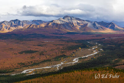 Aerial View of Toklat River in Autumn