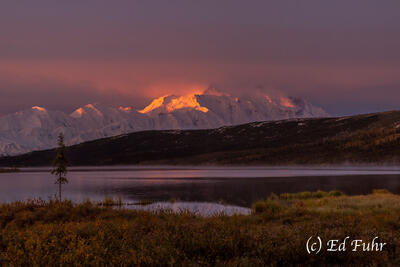 First Light