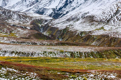Wintry Gorge