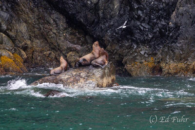 Sanctuary on the Rocks