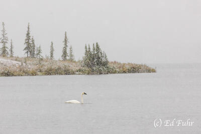 Snowfall on Wonder Lake