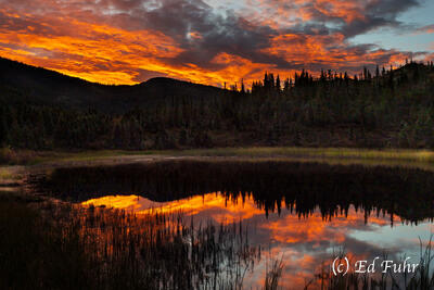 Sunrise From Nugget Pond
