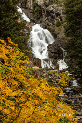 Hidden Falls