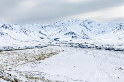 Thorofare Pass After an Autumn Snow