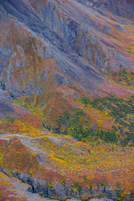 Fall in the Polychrome Mountains near Wyoming Hills