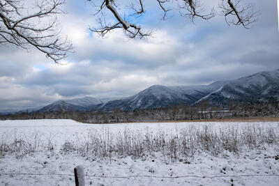 Winter Valley View