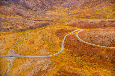 Denali Park Road Carving