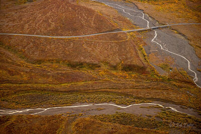 Denali Park Road Near Polychrome Pass
